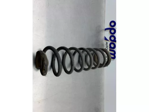 Schroefveer achter-8250848 (21557990)