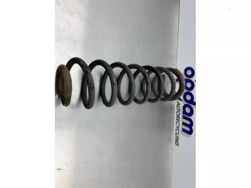 Schroefveer achter-8250848 (21557990)