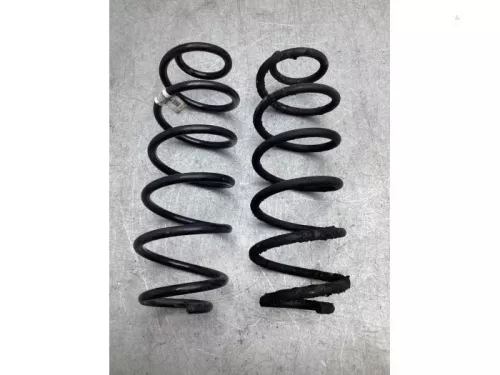 Schroefveer achter-8093933