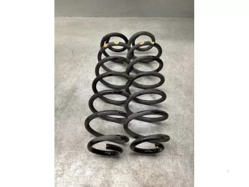 Schroefveer achter-8186410