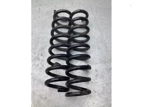 Schroefveer achter-8134934