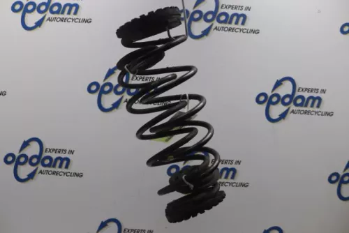 Schroefveer achter-7877029