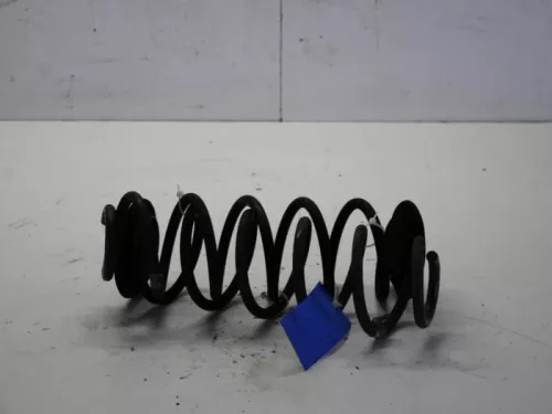 Schroefveer achter-7881383 (10763784)