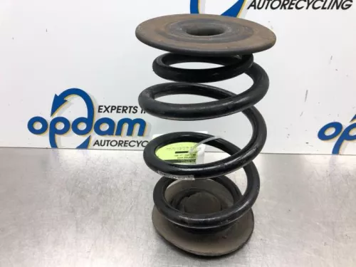 Schroefveer achter-7879967