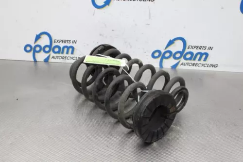 Schroefveer achter-3943349