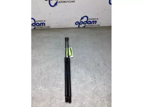 Set Gasdempers Achterklep-8282910
