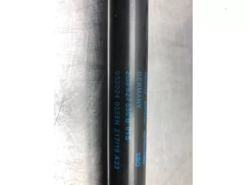 Set Gasdempers Achterklep-8039747 (19022993)