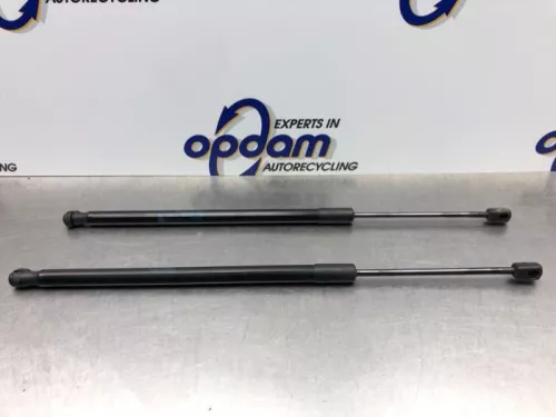 Set Gasdempers Achterklep-8163393