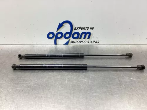 Set Gasdempers Achterklep-6063929