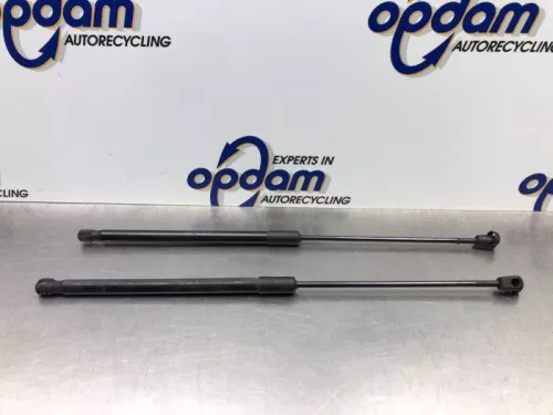 Set Gasdempers Achterklep-8228465