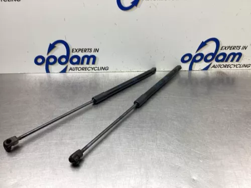 Set Gasdempers Achterklep-8095316 (19540256)