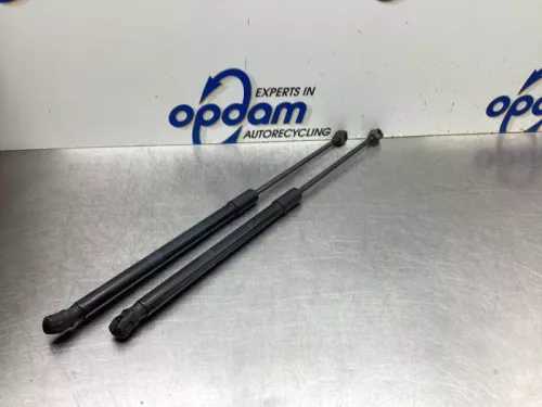 Set Gasdempers Achterklep-8095316 (19540256)