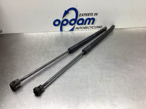 Set Gasdempers Achterklep-8095316 (19540256)
