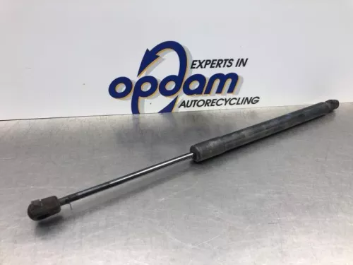 Set Gasdempers Achterklep-8160979 (20974984)
