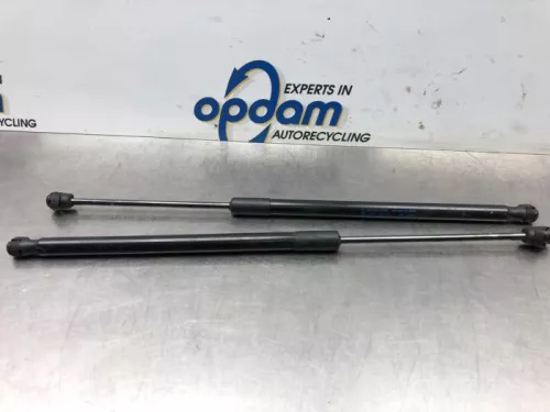 Set Gasdempers Achterklep-7324233