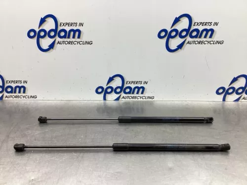 Set Gasdempers Achterklep-8029827