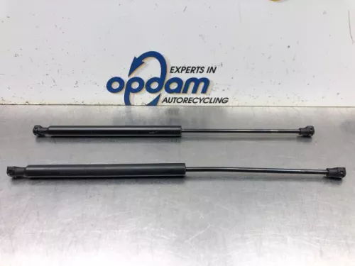 Set Gasdempers Achterklep-8050933