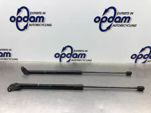 Set Gasdempers Achterklep-8247088