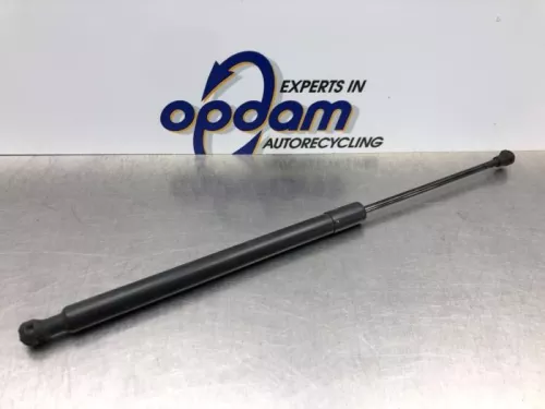Set Gasdempers Achterklep-8169541 (20769690)