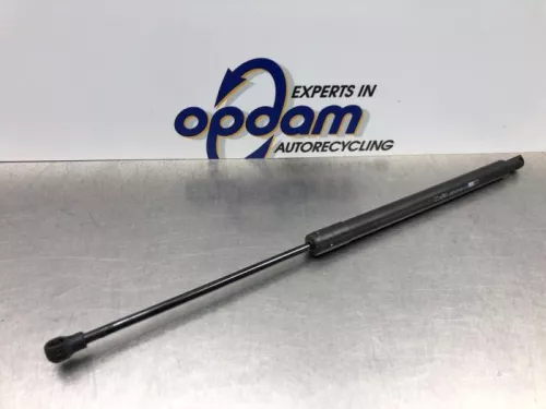 Set Gasdempers Achterklep-8169541 (20769690)