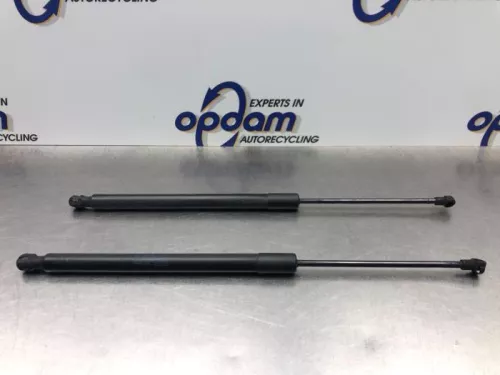 Set Gasdempers Achterklep-8101100