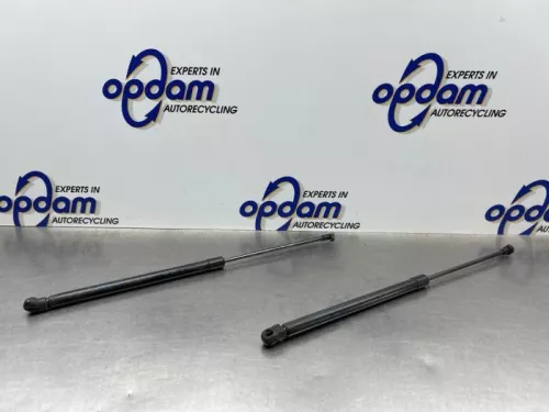 Set Gasdempers Achterklep-8324976