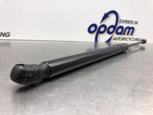 Set Gasdempers Achterklep-8268999 (21801459)