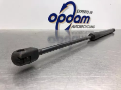 Set Gasdempers Achterklep-8268999 (21801459)