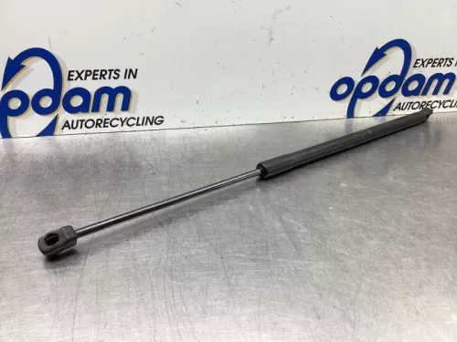 Set Gasdempers Achterklep-7990372 (19052851)