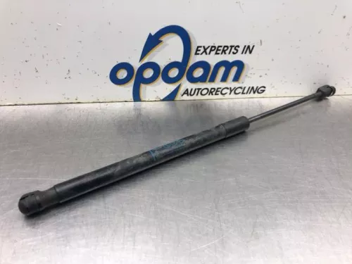 Set Gasdempers Achterklep-8098609 (19984846)