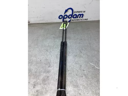 Set Gasdempers Achterklep-8284695 (22322864)