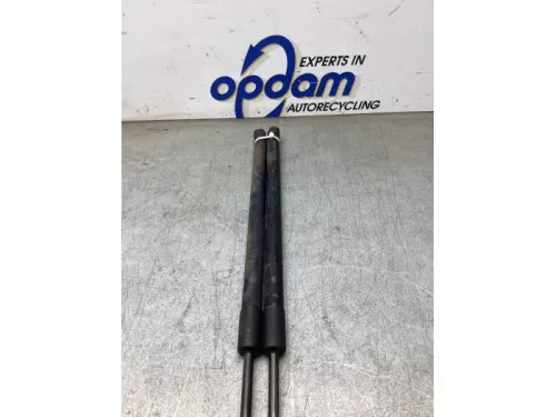 Set Gasdempers Achterklep-8284695 (22322864)