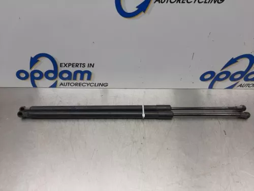 Set Gasdempers Achterklep-7581071
