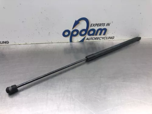 Set Gasdempers Achterklep-8146780 (20189217)