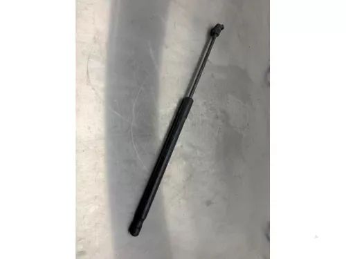 Set Gasdempers Achterklep-8226985 (22252169)