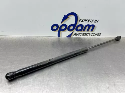 Set Gasdempers Achterklep-8217403 (21662561)
