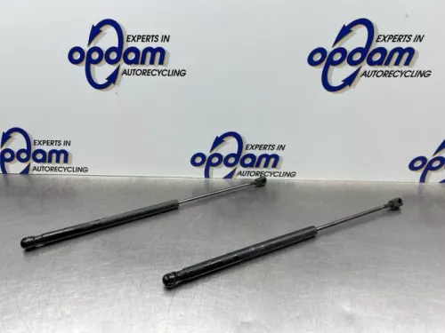 Set Gasdempers Achterklep-8217403