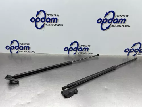 Set Gasdempers Achterklep-8187679