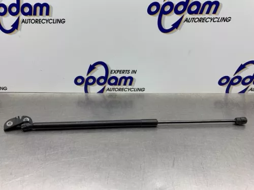 Set Gasdempers Achterklep-8212466 (21395897)