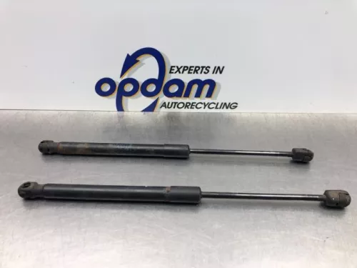 Set Gasdempers Achterklep-8218145 (21166298)