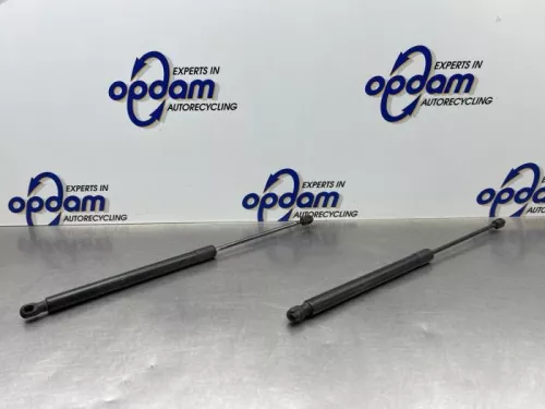 Set Gasdempers Achterklep-8290902