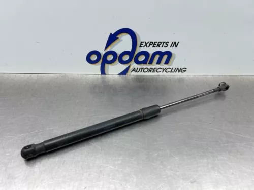 Set Gasdempers Achterklep-8200924 (22555424)