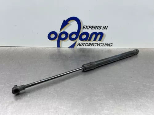 Set Gasdempers Achterklep-8200924 (22555424)