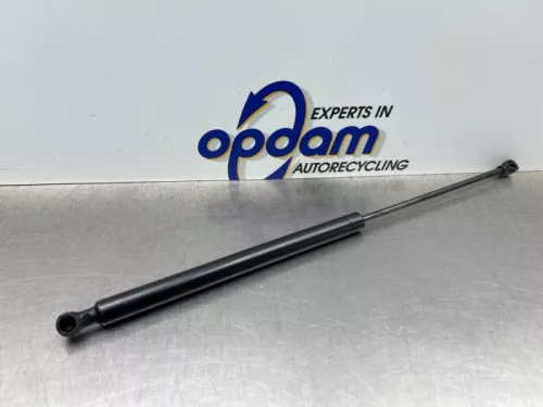 Set Gasdempers Achterklep-8311922 (22620655)