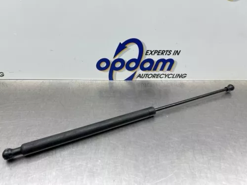 Set Gasdempers Achterklep-8214855 (22671056)