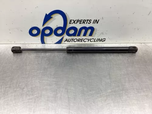 Set Gasdempers Achterklep-8061581 (19158144)