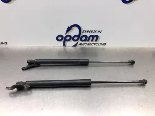 Set Gasdempers Achterklep-8222342