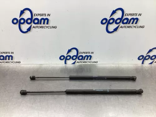 Set Gasdempers Achterklep-6093654 (18681944)