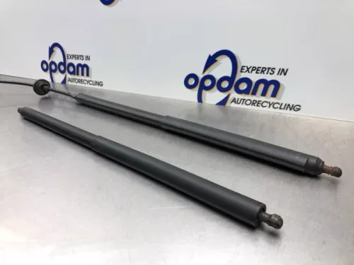 Set Gasdempers Achterklep-8246570 (21585517)