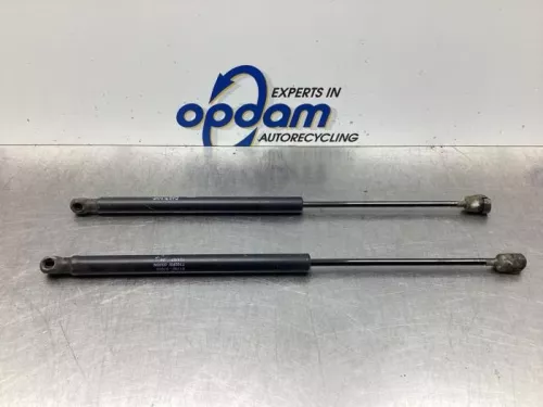 Set Gasdempers Achterklep-7842281 (18572427)